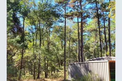 500 S Pine Lake Road, Montgomery, TX 77316 - Photo 22