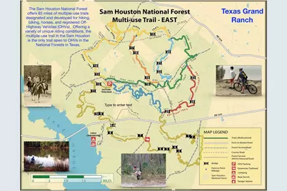 2-11-15 Remington Road, Huntsville, TX 77340 - Photo 14