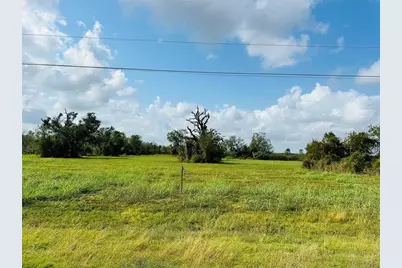 274 Pony Trail, Angleton, TX 77515 - Photo 6