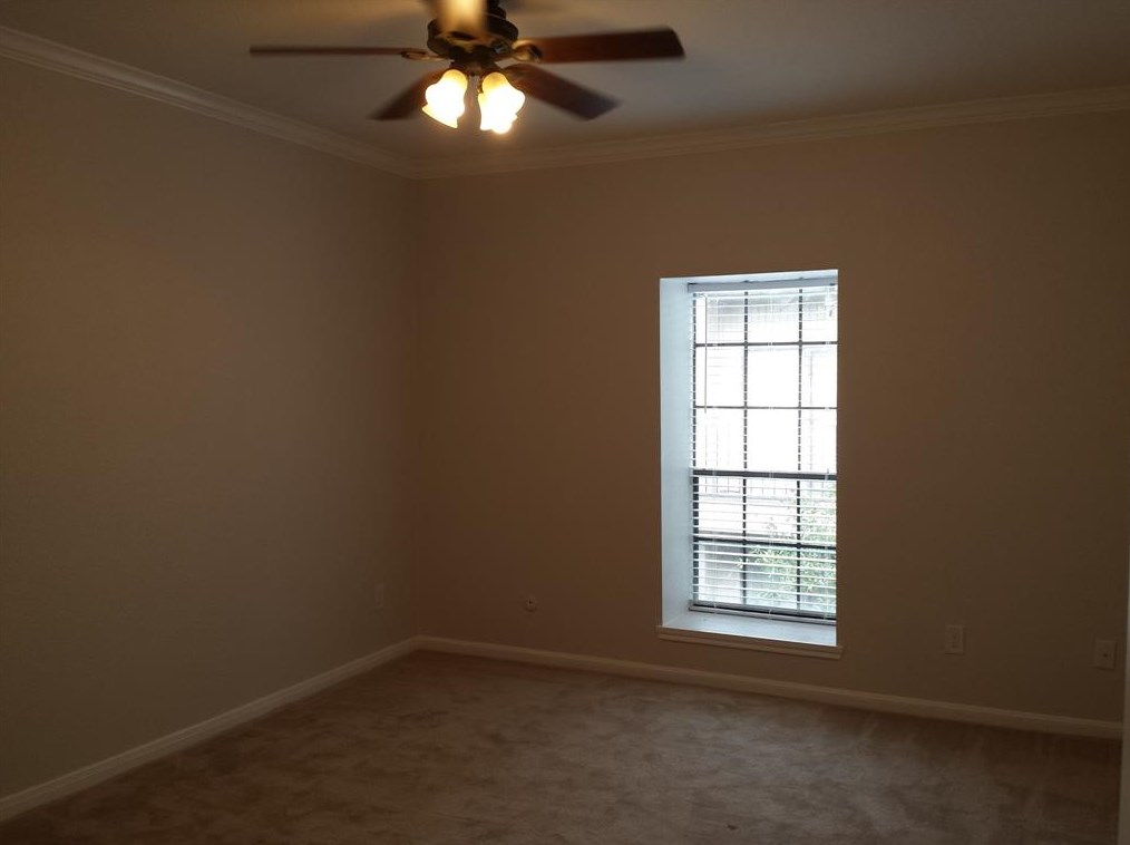 2400 Braeswood Blvd, Houston TX  77030-4306 exterior