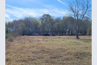 Tbd 2 Caney Creek Road, Chappell Hill, TX 77426 - Photo 2