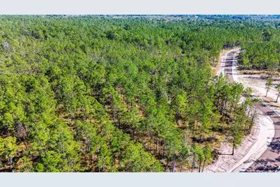 0312 King Ranch Road S, Onalaska, TX 77360 - Photo 6