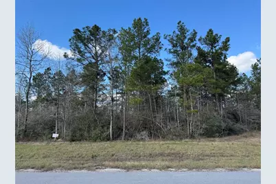 327 Iron Horse Road, Willis, TX 77378 - Photo 6