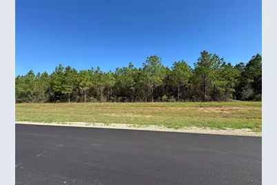 16222 Ridge Oak Road, Willis, TX 77378 - Photo 12