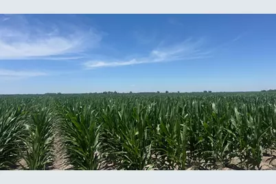 Tbd Cr 335 Road, Louise, TX 77455 - Photo 4