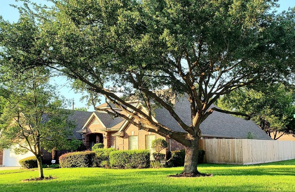 14306 Brentshire Ln, Houston, TX 77069
