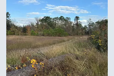 9772 Main Road, Porter, TX 77365 - Photo 2