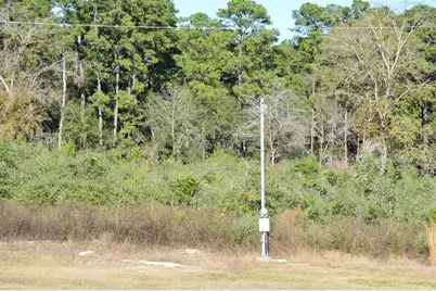 Tract #2 Sh 249, Navasota, TX 77868 - Photo 4