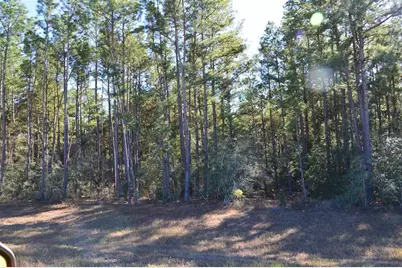 Tract #2 Sh 249, Navasota, TX 77868 - Photo 26