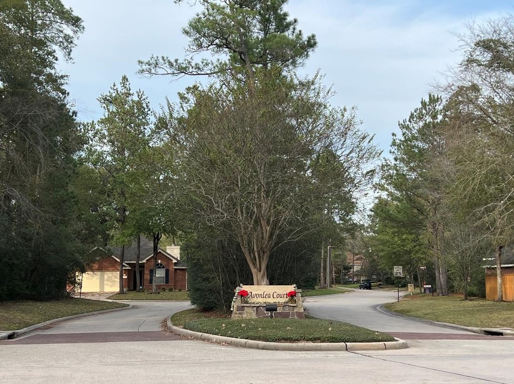 26 Cypress Bayou Ct, Spring TX  77382-1063 exterior
