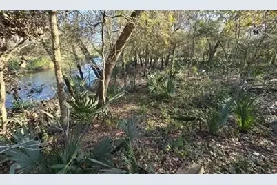 000 Bayou Road, Danbury, TX 77534 - Photo 6