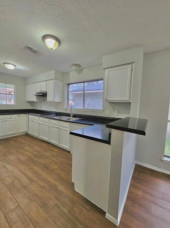 11423 Milners Point Dr, Houston TX  77066-4827 exterior