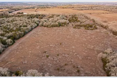 17 Acres - 000 Grassyville Rd, Paige, TX 78659 - Photo 18