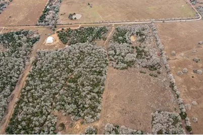 17 Acres - 000 Grassyville Rd, Paige, TX 78659 - Photo 24
