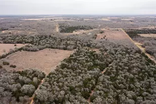17 Acres - 000 Grassyville Rd, Paige, TX 78659 - Photo 1