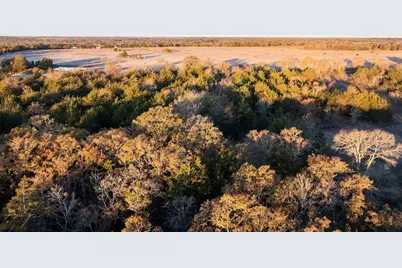 17 Acres - 000 Grassyville Rd, Paige, TX 78659 - Photo 8