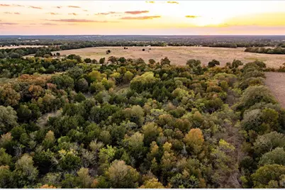 17 Acres - 000 Grassyville Rd, Paige, TX 78659 - Photo 2
