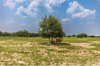 Tract 4 County Road 106, Columbus, TX 78934 - Photo 4