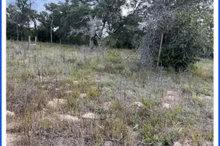 506 Daisy Hvn Ln, Seguin, TX 78155 - Photo 6