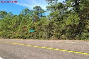 2940 Sam Rayburn Pkwy, Brookeland, TX 75931 - Photo 1