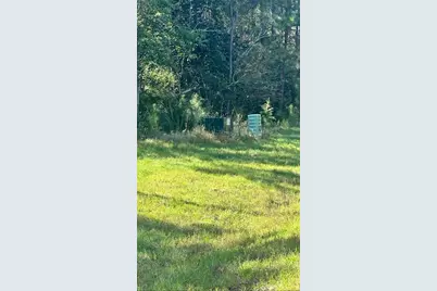 11530 E Bramble Court, Willis, TX 77378 - Photo 4