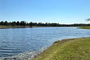 11530 E Bramble Ct, Willis, TX 77378 - Photo 26