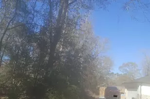 307 Magnolia Bend Dr, New Caney, TX 77357 - Photo 12