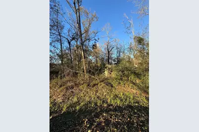 307 Magnolia Bend Drive, New Caney, TX 77357 - Photo 1