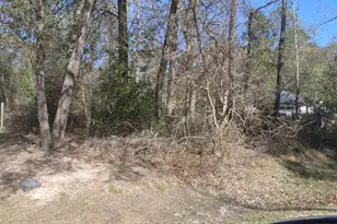 307 Magnolia Bend Dr, New Caney, TX 77357 - Photo 4