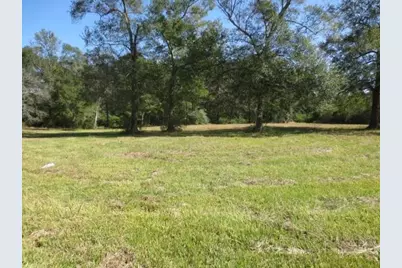 13596 Rogers Road, Willis, TX 77378 - Photo 4