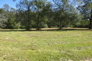 13596 Rogers Rd, Willis, TX 77378 - Photo 4