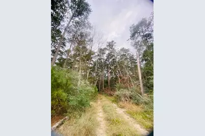 0 Sandy Lane, Point Blank, TX 77364 - Photo 12