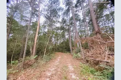 0 Sandy Lane, Point Blank, TX 77364 - Photo 10