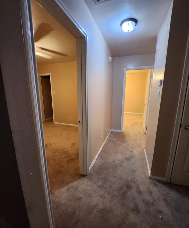 2007 Goldspring Ln, Spring TX  77373-6306 exterior