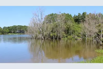 Lot 16 Redbud Lane, Normangee, TX 77871 - Photo 6