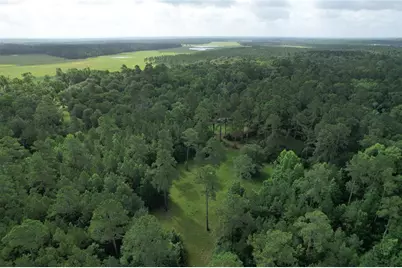 0000 Cr 4020, Crockett, TX 75835 - Photo 14