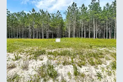 Tbd Canopy Ridge Trail, Grapeland, TX 75844 - Photo 6