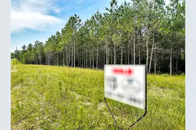 Tbd Canopy Ridge Trail, Grapeland, TX 75844 - Photo 8