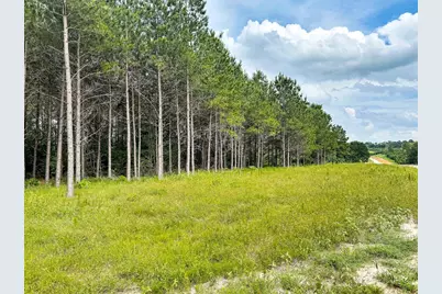 Tbd Canopy Ridge Trail, Grapeland, TX 75844 - Photo 10