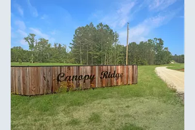 Tbd Canopy Ridge Trail, Grapeland, TX 75844 - Photo 1