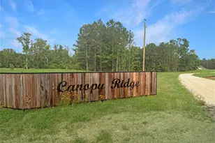 Tbd Canopy Ridge Trail, Grapeland, TX 75844 - Photo 1