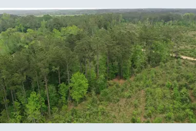 Tract 5 Cr 255, San Augustine, TX 75972 - Photo 6