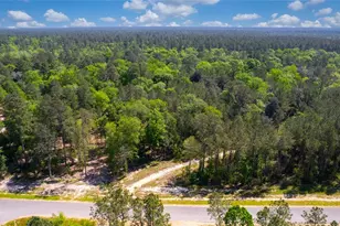 12868 Oak Barrel Rd, Willis, TX 77378 - Photo 16