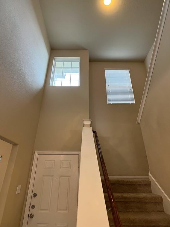 8230 Almera Falls Dr, Cypress TX  77433-2872 exterior
