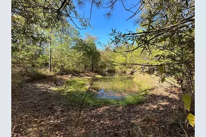 1529 Pinecrest Road, Trinity, TX 75862 - Photo 6