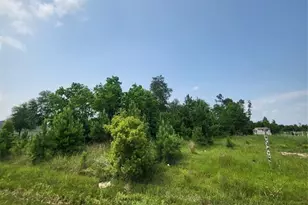 898 County Rd 5003, Cleveland, TX 77327 - Photo 1