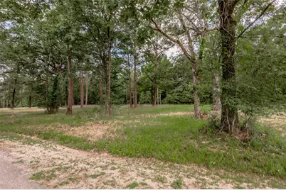 Lot 38 Peach Point Lane, Trinity, TX 75862 - Photo 4