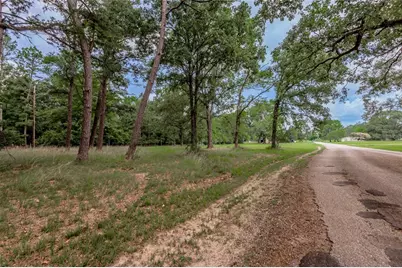 Lot 38 Peach Point Lane, Trinity, TX 75862 - Photo 8