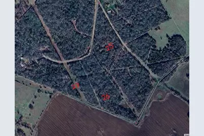 22.37Ac. Pr 1100 Road, Leona, TX 75850 - Photo 12