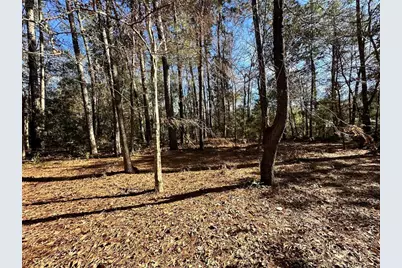 178 Alex Court, Livingston, TX 77351 - Photo 30